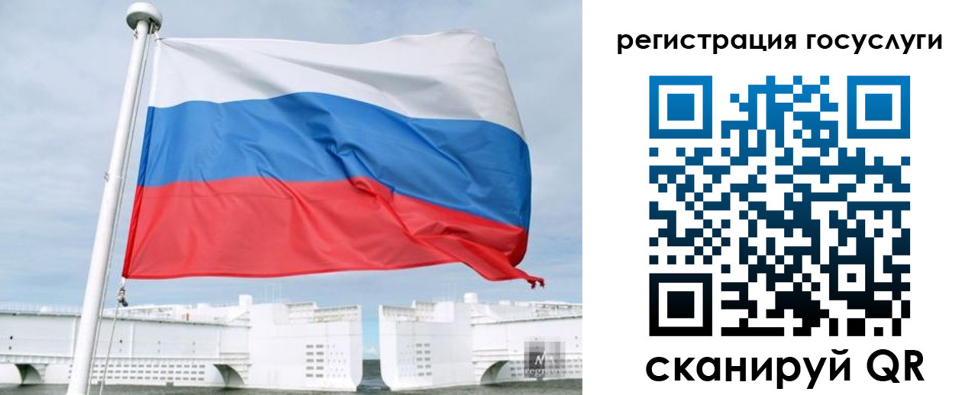 временная регистрация поиск в Белгороде